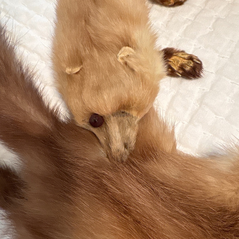 Grandma’s Vintage Fox Wrap - Picture 3 of 6